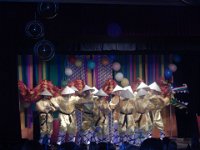 Meannerrabatz 2015 (27)